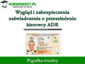 Zabezpieczenia zaświadczenia o przeszkoleniu kierowcy ADR (Pigułka wiedzy)