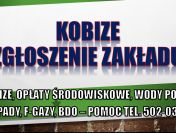 Raportowanie do Kobize, cennik tel. 502-032-782. Przygotowanie, zgłoszenie firmy