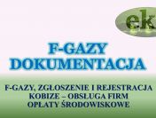 Sprawozdanie do Bazy Danych Sprawozdań, cena tel. 504-746-203. Obsługa firmy