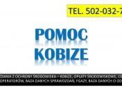 Szkolenie z raportu Kobize, tel. 502-032-782, z wprowadzania raportu