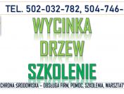 Wycinanie drzew, szkolenie, tel. 504-746-203. Przepisy i decyzje