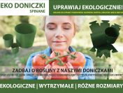 Osłonki do rozsady – Uprawa pomidorów