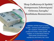 Skup Zadłużonych Spółek/ Kompensata Zobowiązań